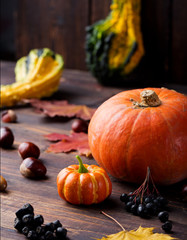 Assortment of pumpkins with autumn leaves on a wooden background Copy space