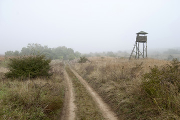 Watchtower in the fog 2