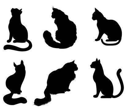 Silhouettes sitting black cats set