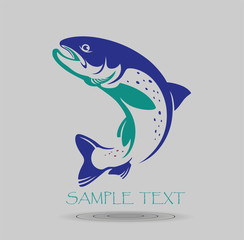Fototapeta premium fish trout