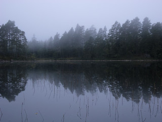 Fototapeta na wymiar Stora Trehörnigen Lake, Tiveden National Park