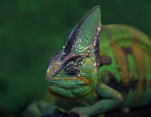 I have my eye on you