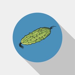 cucumber icon vector