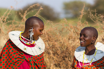 Femme masaï devant leur village - obrazy, fototapety, plakaty