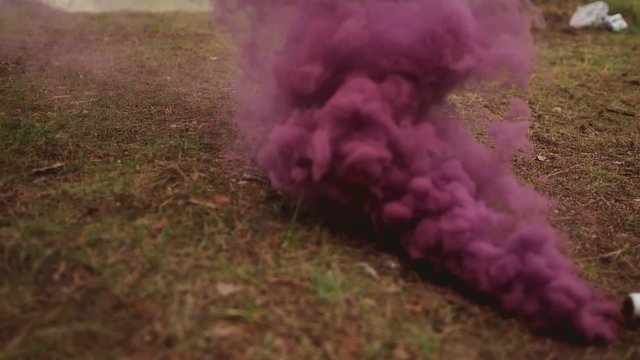 Purple smoke bomb smokes in the forest. Slowmotion
