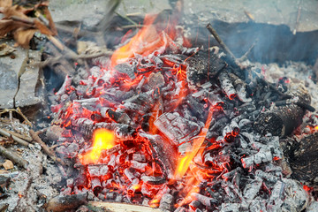 coal and wood ash from burning