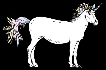 Unicorn vector illustration.  color design.  isolated.  cartoon.  magic.  set.  icon.  logo.
