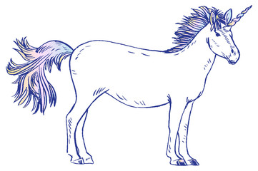 Unicorn vector illustration.  color design.  isolated.  cartoon.  magic.  set.  icon.  logo.