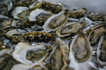 A closeup of mussels lying on the foil