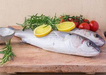 Fresh Mullet
