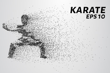 Fototapeta na wymiar Karate of particles. Karate consists of small circles. Vector illustration