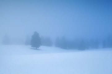 Obraz premium winter mountains in dense morning fog