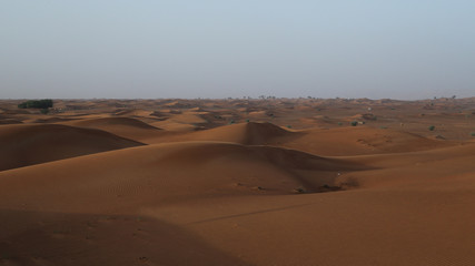 Fototapeta na wymiar Desert of Dubai in Emirates