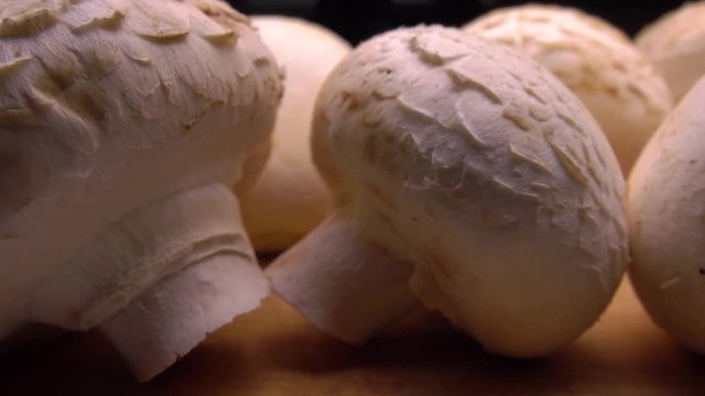 Fresh raw champignons 4K close up pan shot