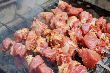 barbecue wood Kebab roasted on coals.