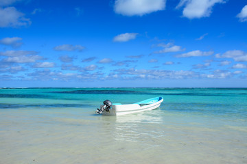 Fototapeta na wymiar Paradise caribbean landscape with a crystal sea water and a boa