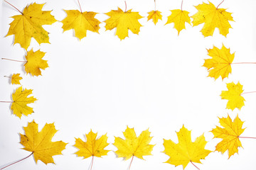 Frame composed of colorful autumn leaves.
