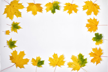 Naklejka na ściany i meble Frame composed of colorful autumn leaves.