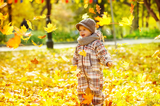 Happy Child Is Throwing Heap Of Maple Leaves At Autumn Park