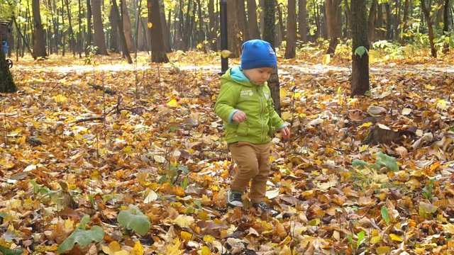 Little Boy Walking in The Autumn Forest