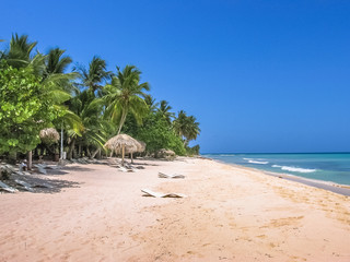 Coconut palms on popular Canto de la Playa in Saona Island, Parque Nacional del Este, East National Park, Dominican Republic. Paradise beach in tropical island with white sand and sunny sky.