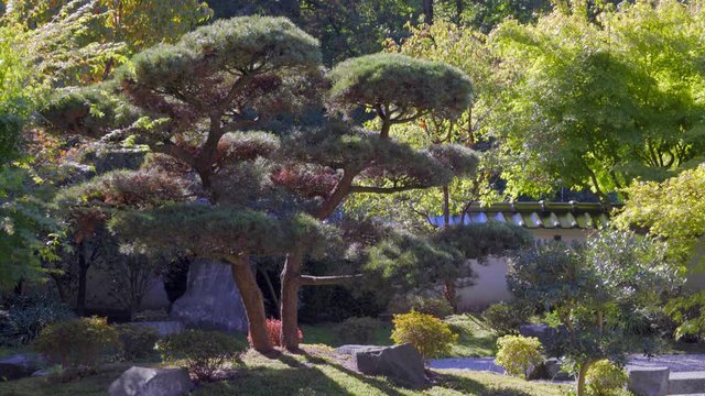 Japanischer Garten Anlage mit Park und Steinbeet