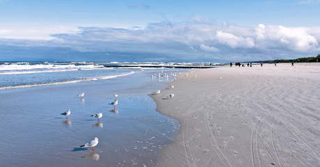 beach seaside sand ocean