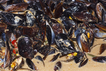 Mussels cooked in a sauce with spices