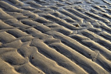 forms in the beach