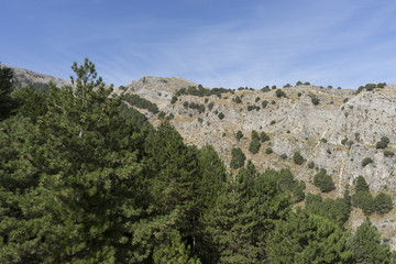 Fototapeta na wymiar Parque Natural Sierras de Tejeda, Almijara y Alhama, cima de la maroma