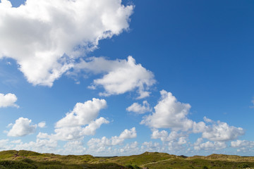 Fototapeta premium Dune landscape on Texel, Netherlands.