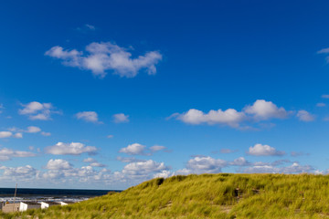 Grassy dunes at the beach on Texel, Netherlands.