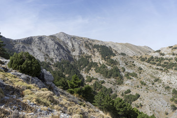 Parque Natural Sierras de Tejeda, Almijara y Alhama, cima de la maroma