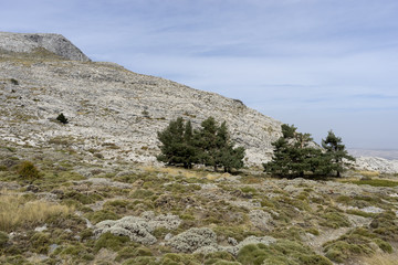 Parque Natural Sierras de Tejeda, Almijara y Alhama, andalucía