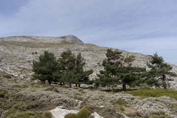 Parque Natural Sierras de Tejeda, Almijara y Alhama, andalucía