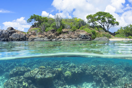 Fototapeta Over under Caribbean island and reef