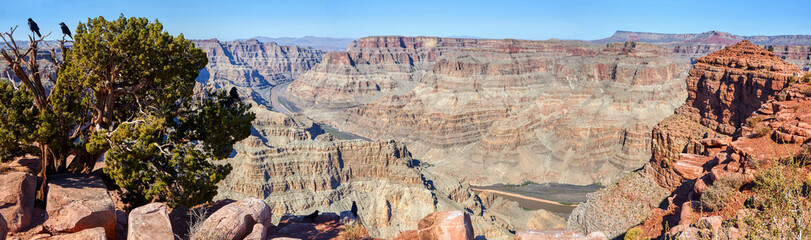 Wide panoramic view of Grand Canyon