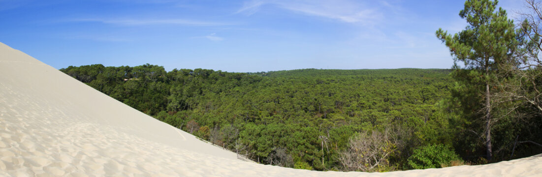 Gr&ouml;&szlig;te Wanderd&uuml;ne Europas vor Pinienwald, Dune du Pilat