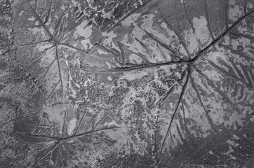 Fototapeta premium concrete pavement flooring top view background