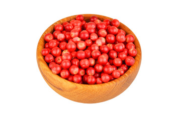 Lingonberry (Vaccinium vitis-idaea)