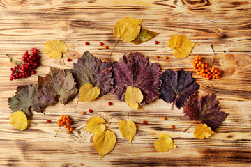 Autumn composition of leaves and berries on wooden background. Thanksgiving day concept