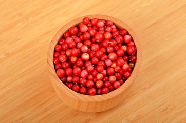 Lingonberry (Vaccinium vitis-idaea)
