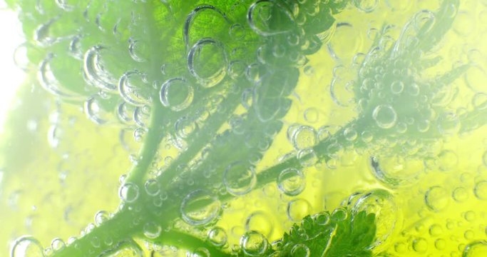 Sparkling bubbles water with a slice of lime. 4K macro footage, shot on RED