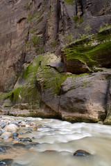 Fototapeta premium Zion National Park