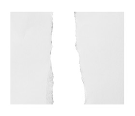 Ripped paper, space for copy