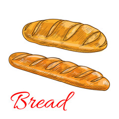 Bread wheat loaf and baguette sketch icons