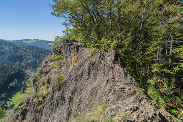 Gratweg und Landschaft auf dem Karlsruher Grat; Schwarzwald Sommer
