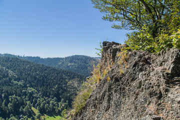 Gratweg und Landschaft auf dem Karlsruher Grat; Schwarzwald Sommer