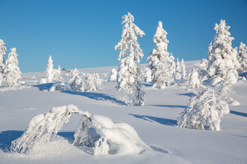 Fototapeta na wymiar Landscape in Lapland, Finland.