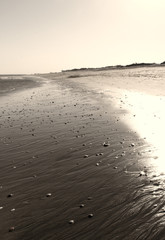 Fototapeta na wymiar photo of sand background